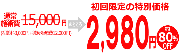 施術の流れと料金 木もれび鍼灸院 大阪 施術の流れと料金 木もれび鍼灸院 大阪