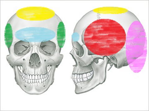 頭痛の領域判断